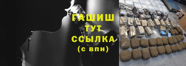 гидра Краснослободск