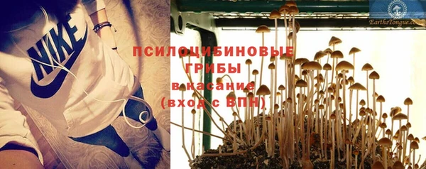 альфа пвп Краснотурьинск