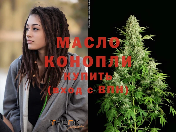 гидра Краснослободск