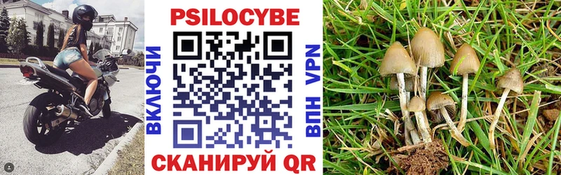 Псилоцибиновые грибы мицелий Фокино